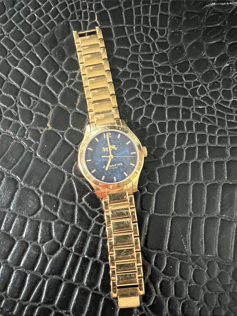 Coach Metal watch a Navy Signature face